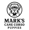 markcanecorso.com